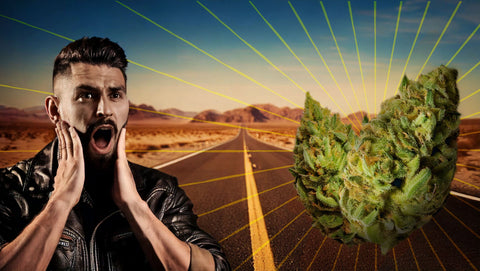 Sour Diesel CBD : Puissance et arômes authentiques à Nîmes