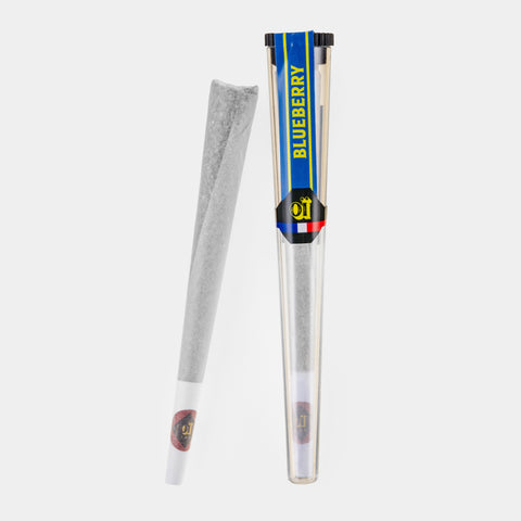 BLUEBERRY KING SIZE