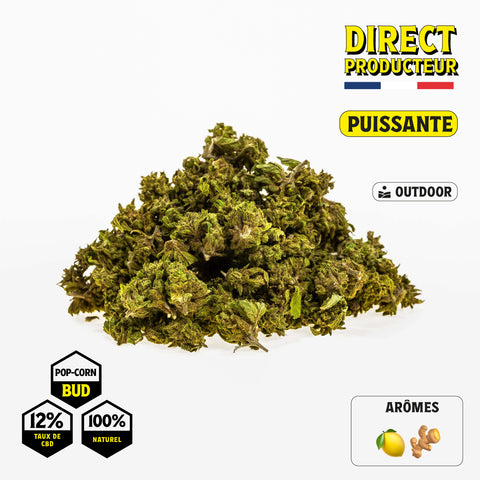 OG KUSH POP-CORN