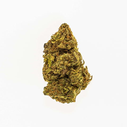 BLUEBERRY  PERFECT BUDS