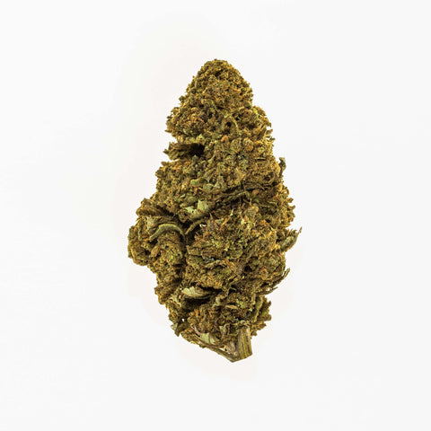 GORILLA GLUE  PERFECT BUDS