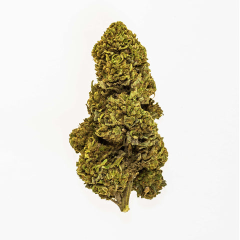 ZKITTLEZ PERFECT BUDS