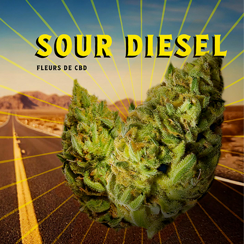 Sour Diesel CBD : Puissance et armes authentiques Nmes O CBD Sour Diesel CBD : Puissance et armes authentiques Nmes O CBD