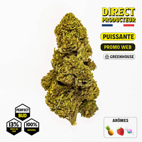 ZKITTLEZ PERFECT BUDS