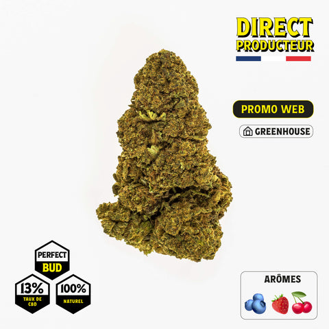 STRAWBERRY PERFECT BUDS