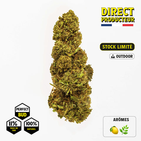 SOUR DIESEL PERFECT BUDS