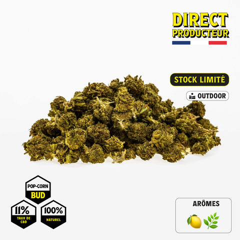 SOUR DIESEL POP-CORN